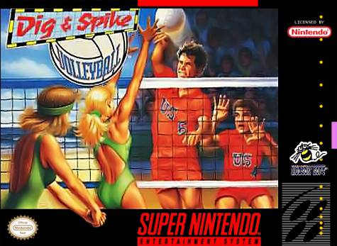 Dig & Spike Volleyball