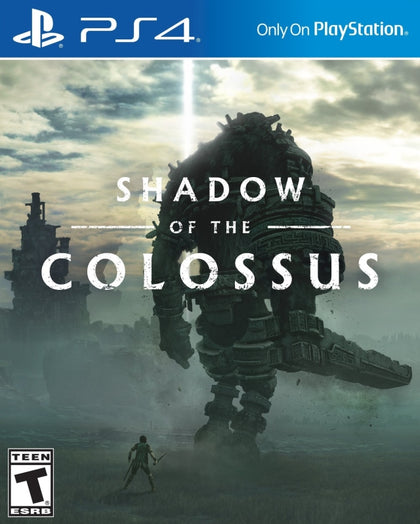 Shadow of colossus